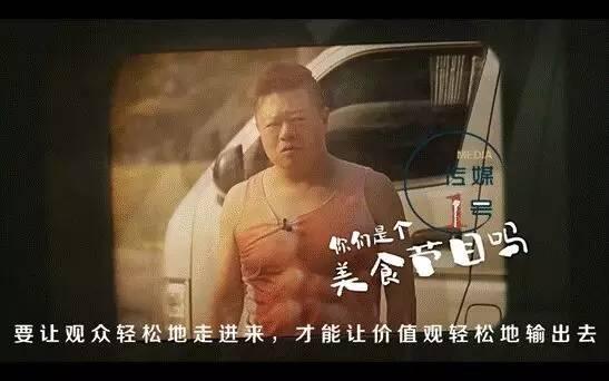 2017年,愈演愈烈的网综平台排位战如何洗牌?