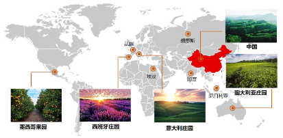 “遇见郎世宁,融西韵东方!” 花君子五大治愈系精油为爱上市!